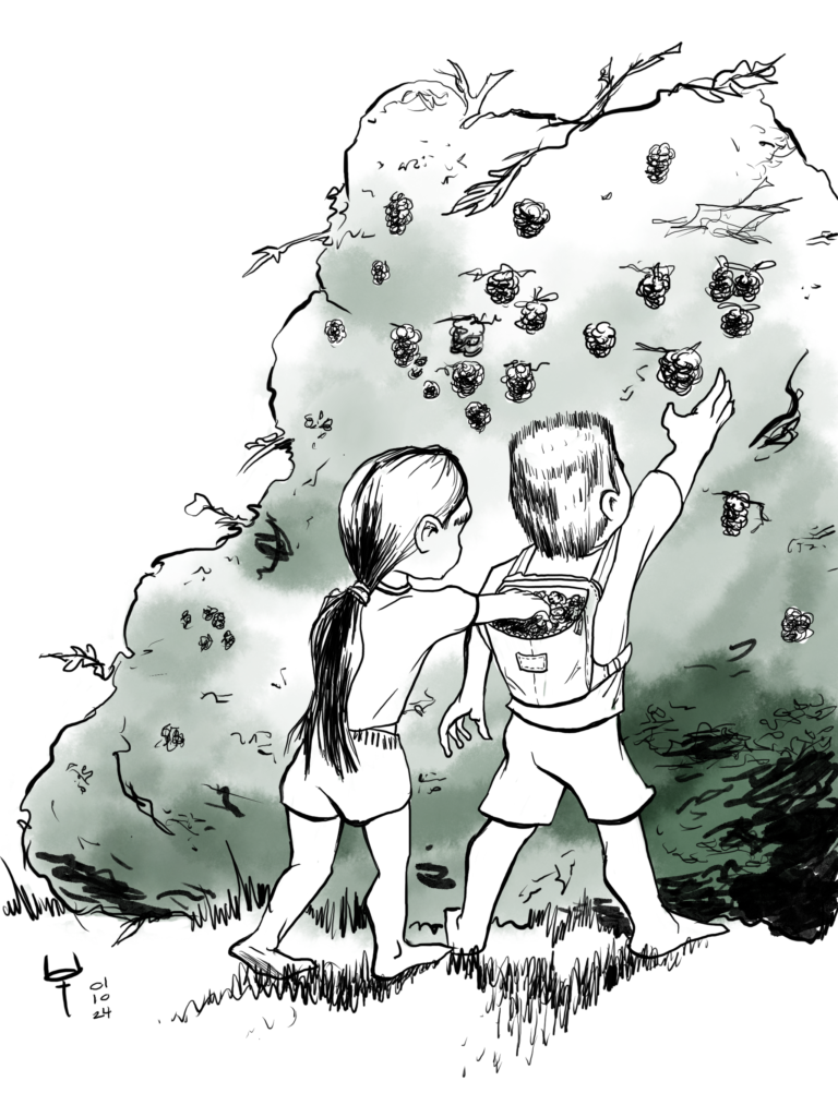 A cartoon drawing of myself and my cousin when we were children. We are picking blackberries from a bush that towers over us.